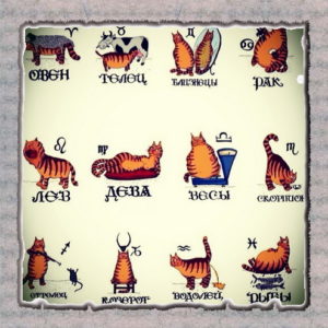 картинка знаков зодиака из нарисованных котов.